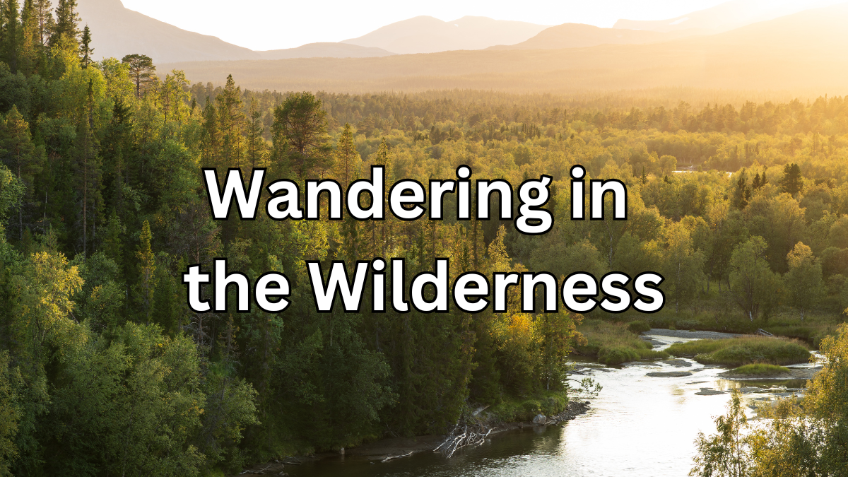 A Look at Psalm 91: Wandering in the Wilderness