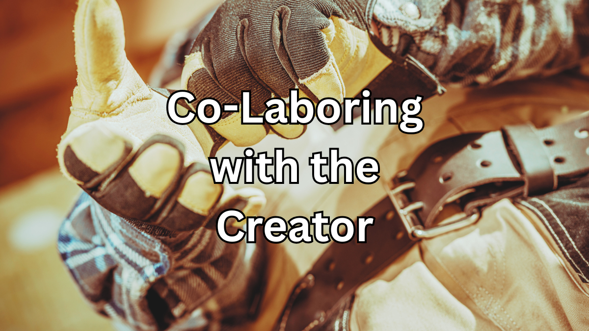 Co-Laboring with the Creator