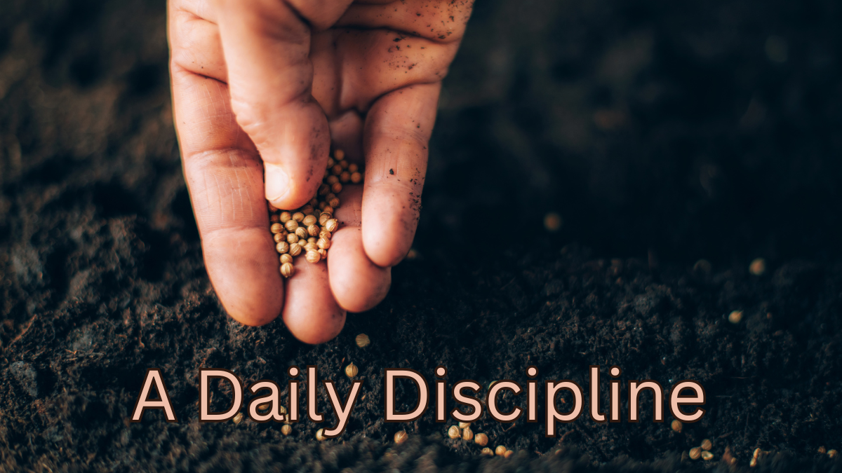 A Daily Discipline