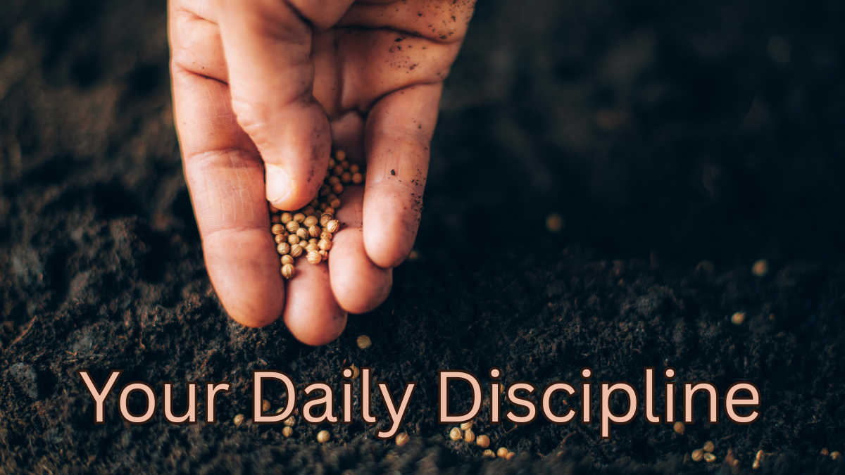 Your Daily Discipline
