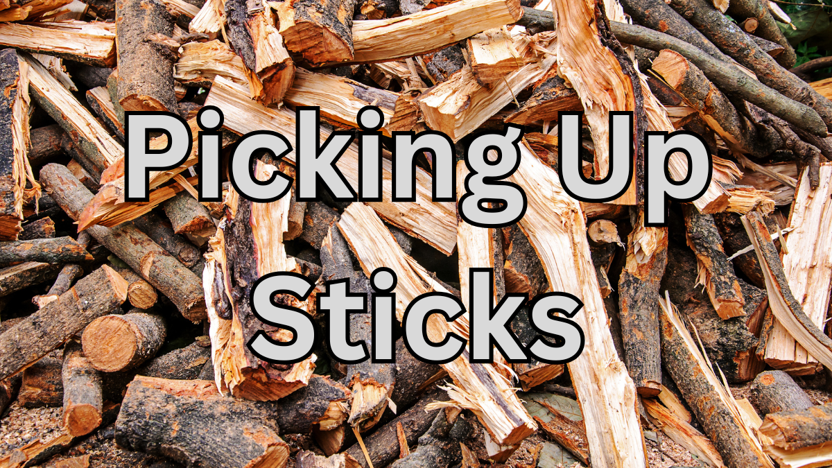 Picking Up Sticks