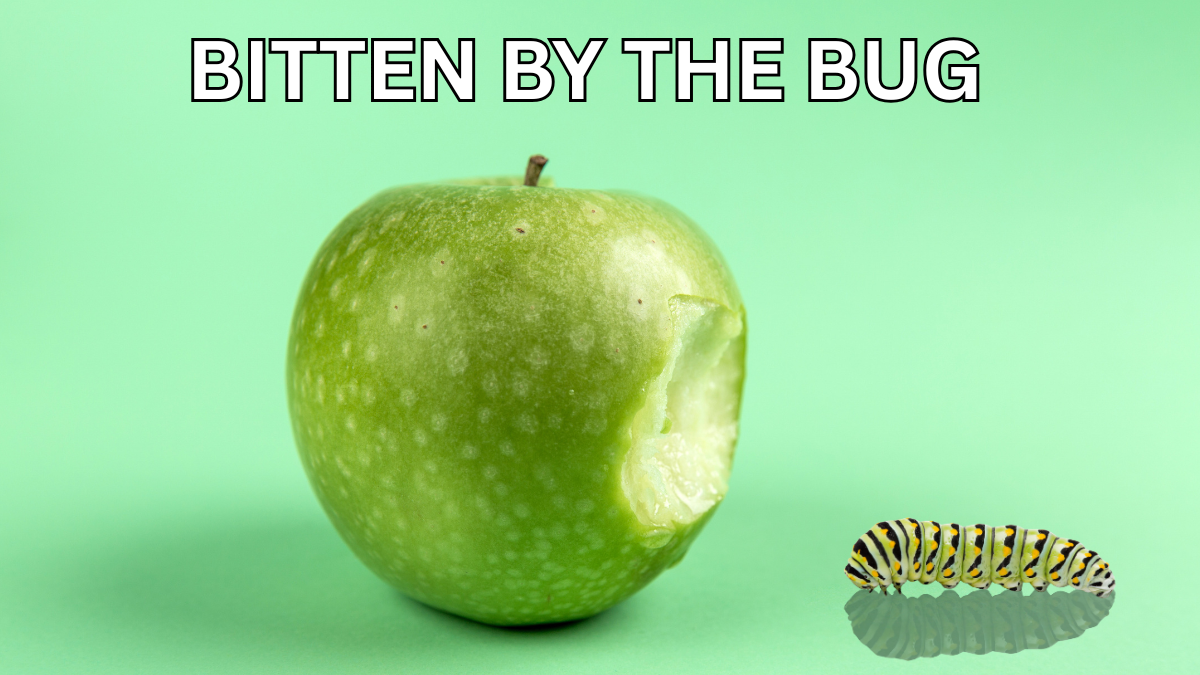 Bitten by the Bug