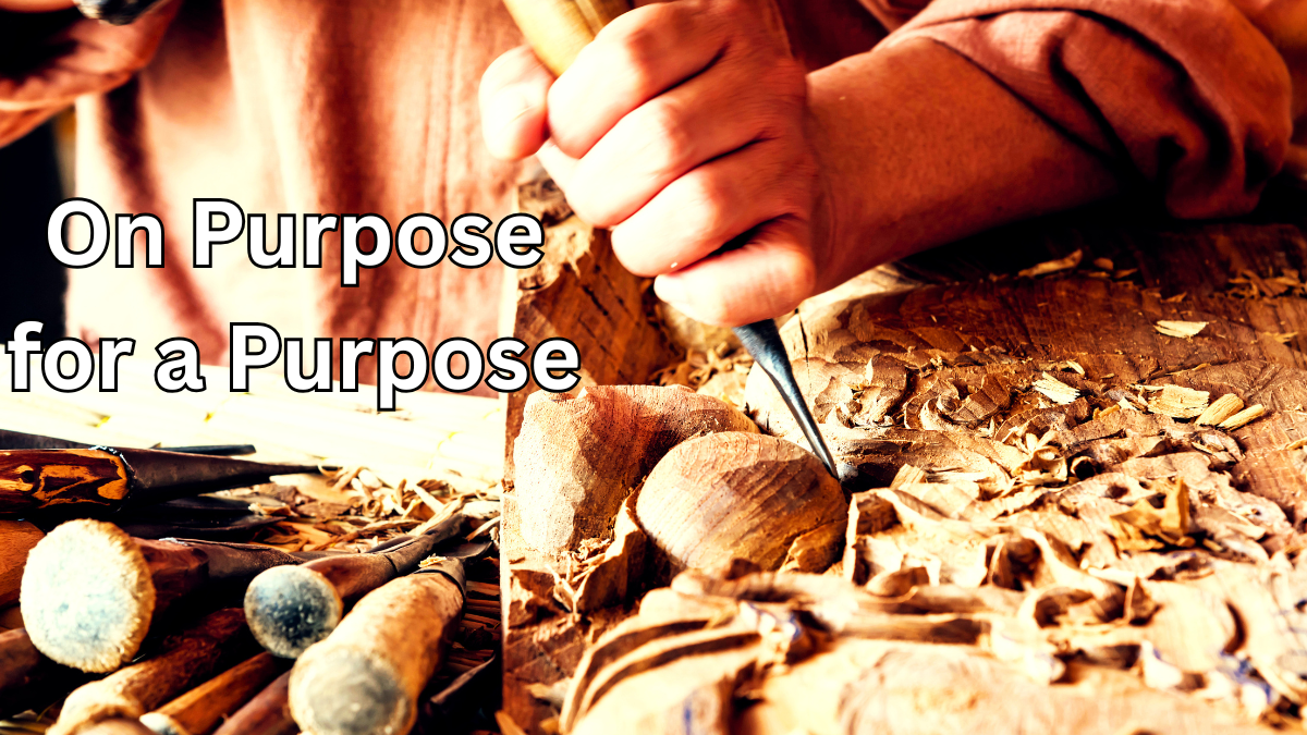 On Purpose for a Purpose