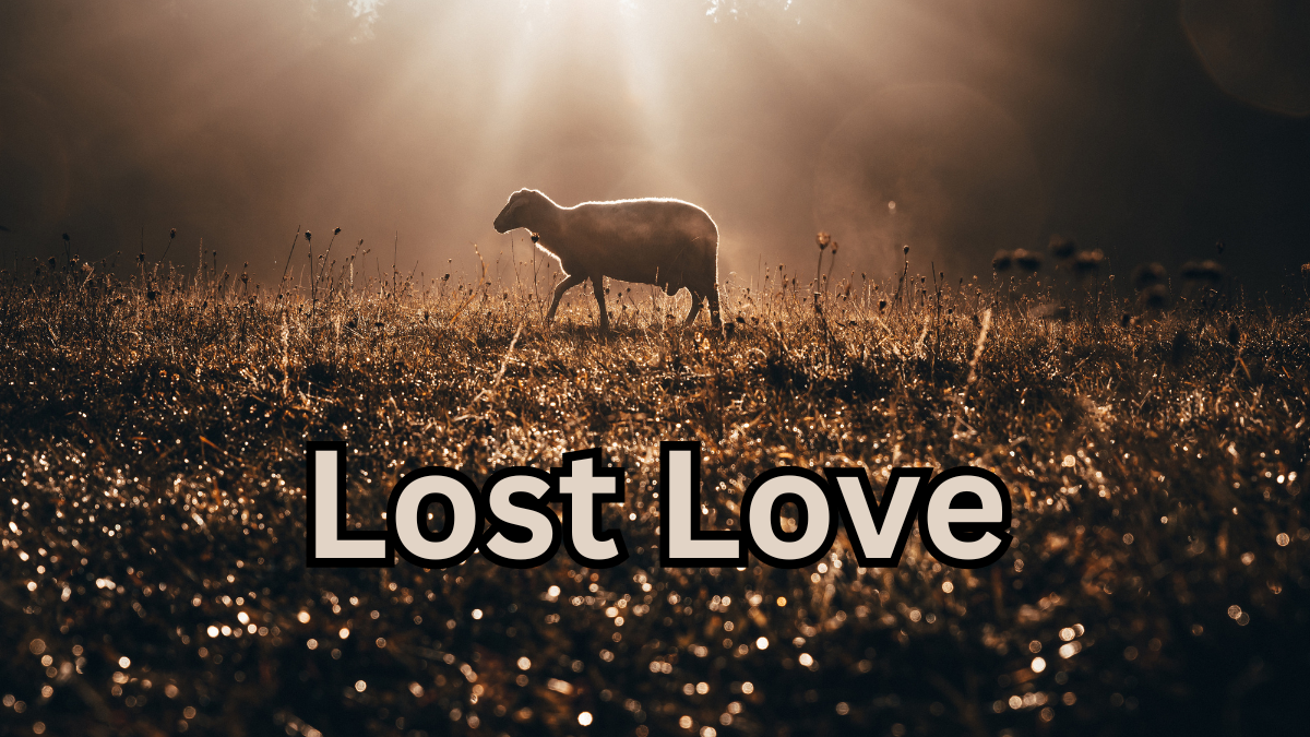 Lost Love